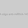 AXMIR-145 RNA oligo anti-miRNA-145-5p with Xmotif